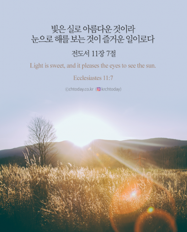 5월 29일 교만한 영혼