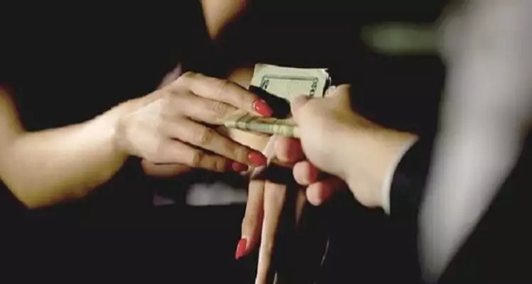6월 2일 저 염소들을 먹이라