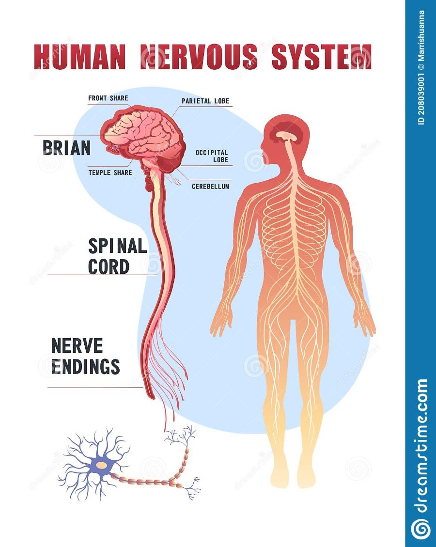 t-breathed into his nostrils the breath of life-2