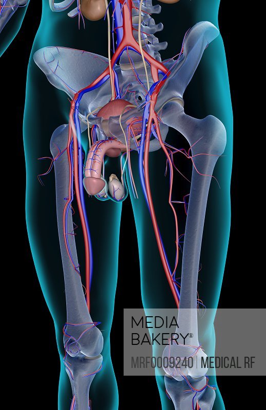 x-Rib made he a woman-2-1